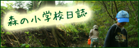 morishou